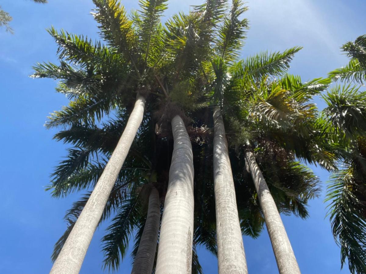 מונטגו ביי The Lodge @ Peaceful Palms מראה חיצוני תמונה